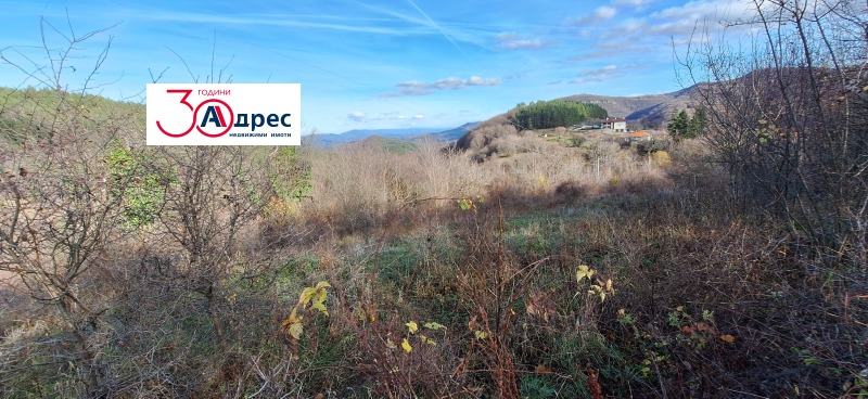 Продава ПАРЦЕЛ, гр. Елена, област Велико Търново, снимка 4 - Парцели - 53271391