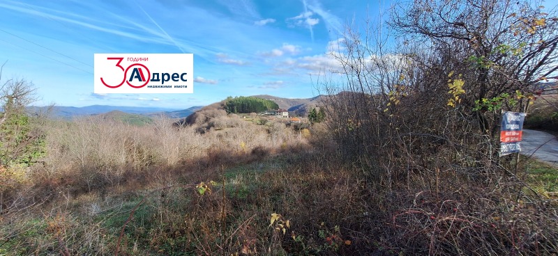 Продава ПАРЦЕЛ, гр. Елена, област Велико Търново, снимка 3 - Парцели - 53271391