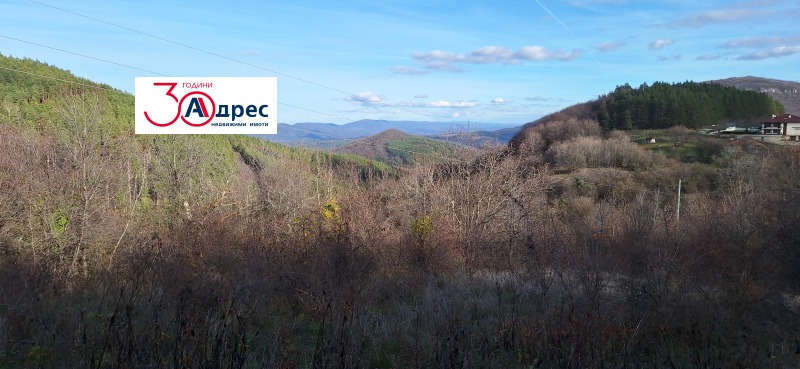 Продава ПАРЦЕЛ, гр. Елена, област Велико Търново, снимка 5 - Парцели - 53271391