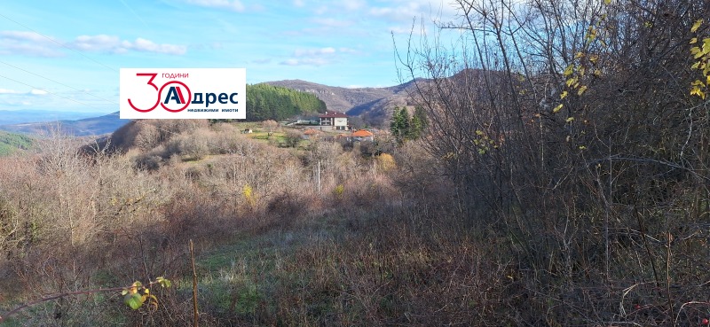 Продава ПАРЦЕЛ, гр. Елена, област Велико Търново, снимка 6 - Парцели - 53271391