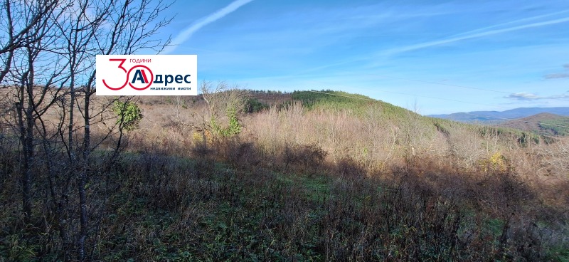 Продава ПАРЦЕЛ, гр. Елена, област Велико Търново, снимка 8 - Парцели - 53271391