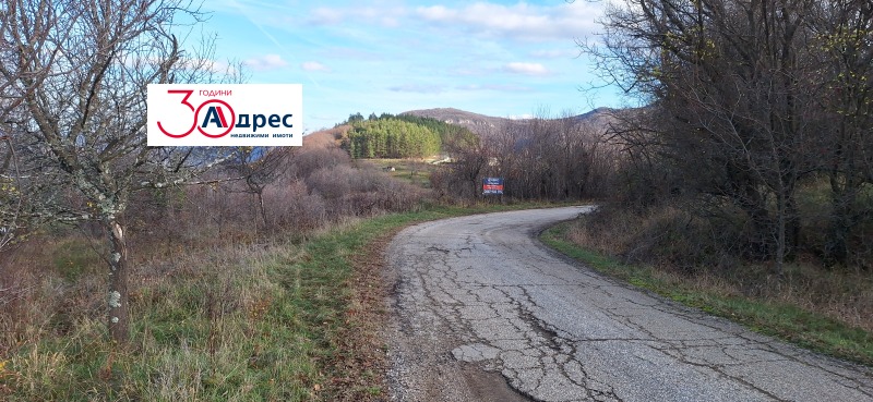 Продава ПАРЦЕЛ, гр. Елена, област Велико Търново, снимка 10 - Парцели - 53271391
