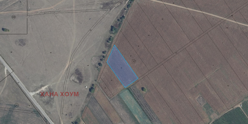 Продава ЗЕМЕДЕЛСКА ЗЕМЯ, с. Плъстина, област Търговище, снимка 3 - Земеделска земя - 52453141