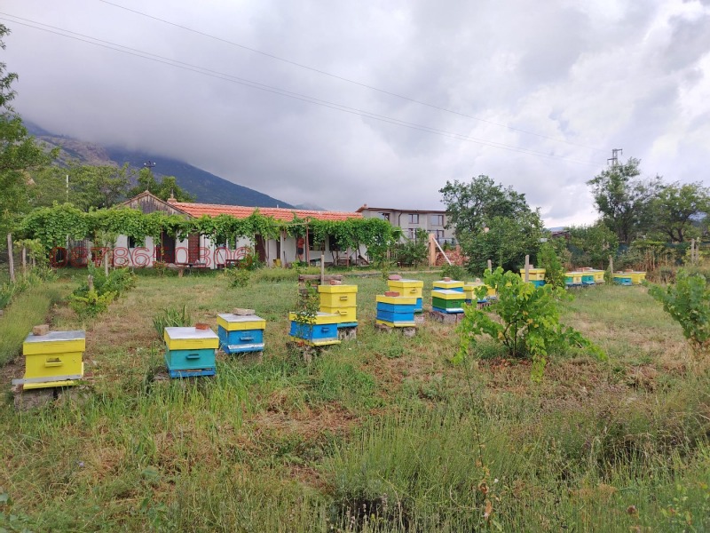 Продава БИЗНЕС ИМОТ, гр. Сливен, в.з. Сливен, снимка 2 - Други - 52783317