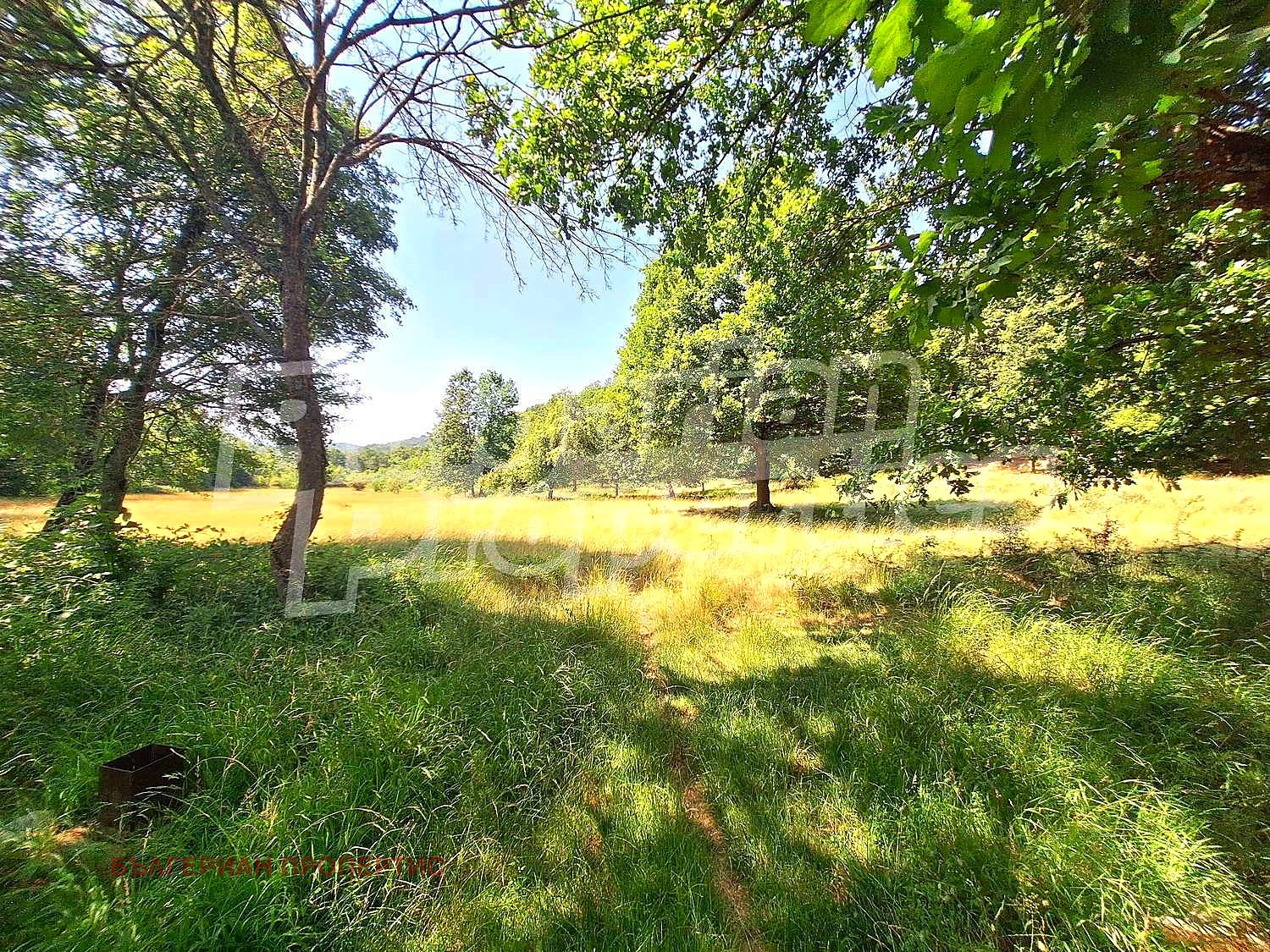 Продава ПАРЦЕЛ, с. Хъневци, област Велико Търново, снимка 2 - Парцели - 50870357