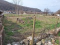 Продава ПАРЦЕЛ, с. Сваленик, област Русе, снимка 5