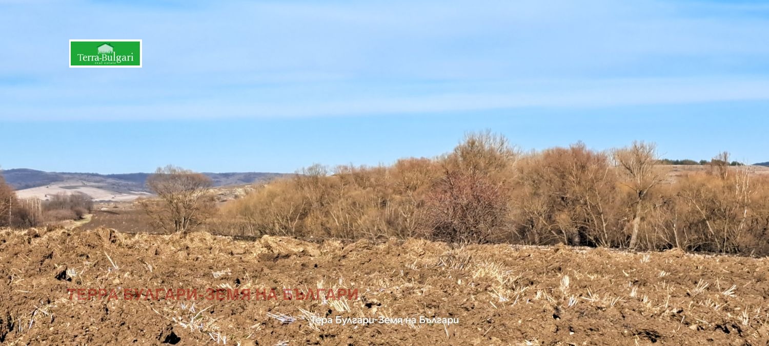 ������� ���������� ���� | Imot.bg � ����������� 2