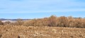 Продава ЗЕМЕДЕЛСКА ЗЕМЯ, с. Витановци, област Перник, снимка 2