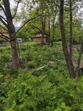 Продава КЪЩА, област Монтана, с. Бързия • 105000 € / 205362.15 лв. • 12509370 2