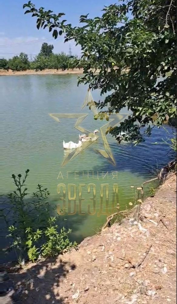 ������� ���������� ���� | Imot.bg � ����������� 12
