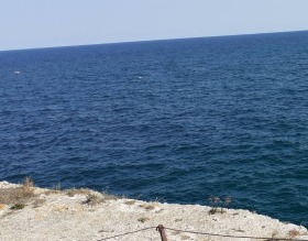 ����� ������� ������,�. ������, ������ ������