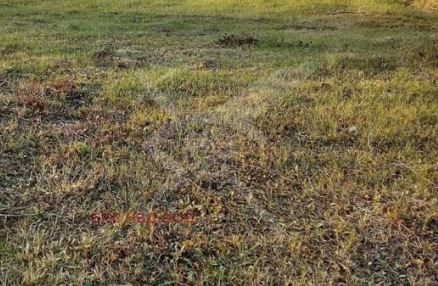 Te koop  Verhaallijn regio Plovdiv , Saedinenie , 797 m² | 85980252