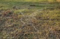 Продава ПАРЦЕЛ, област Пловдив, гр. Съединение • 34200 € • 92212259 — Holmes.bg