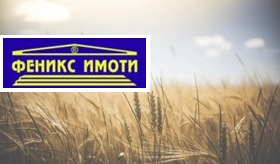 Продажба на земеделски земи в област Кюстендил - изображение 4 