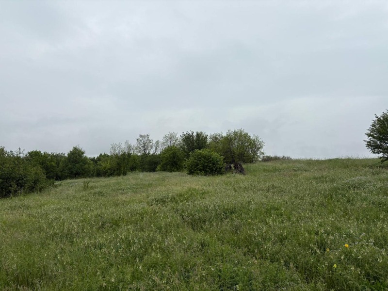 Продава ПАРЦЕЛ, с. Витановци, област Перник, снимка 2 - Парцели - 52803127