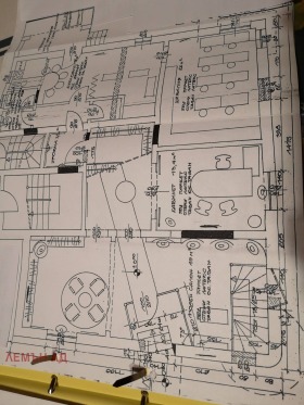 ����� ������� �������,���� �����, ������