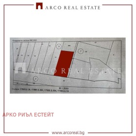 ����� ������� ������,�. ���������, ������ �����