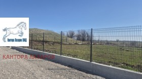 ����� ������� ������,���� �����, �. ������