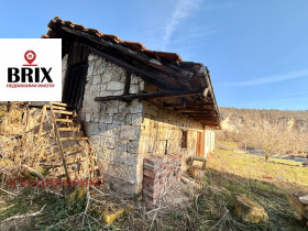 ������ ������� ����