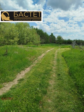 Spiknutí Dragovištica, oblast Sofia 2