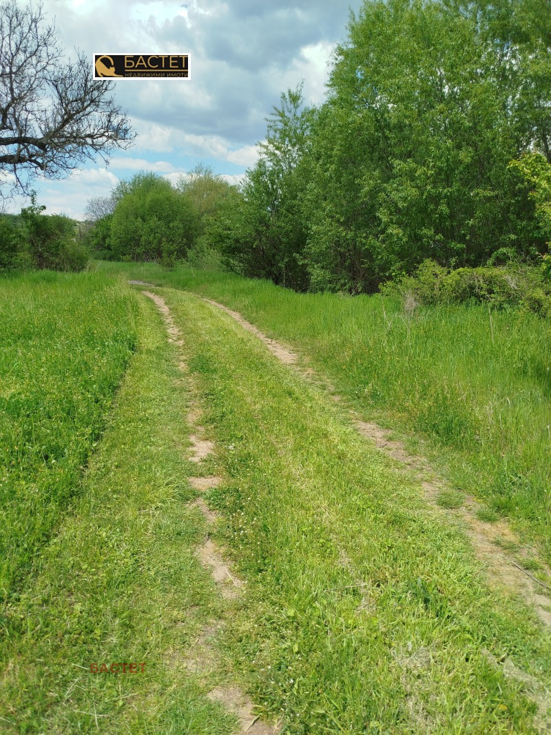 Na prodej  Spiknutí oblast Sofia , Dragovištica , 1040 m2 | 21221856 - obraz [4]