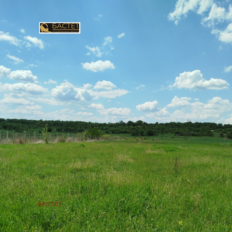 Na prodej  Spiknutí oblast Sofia , Dragovištica , 1040 m2 | 21221856