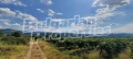 Продава ЗЕМЕДЕЛСКА ЗЕМЯ, с. Марково, област Пловдив, снимка 2