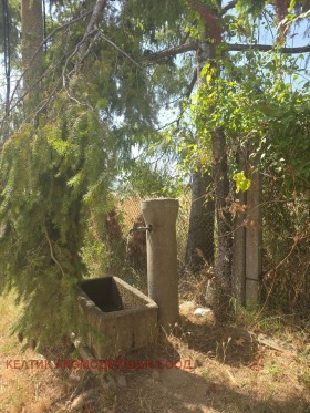 ������� ���� | Imot.bg � ����� ������ 16