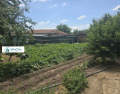 Продава КЪЩА, област Пловдив, с. Трилистник • 103500 € • 36752551 — Holmes.bg