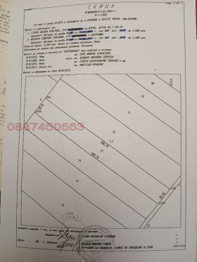 ����� ������� ������,�. �������, ������ ������