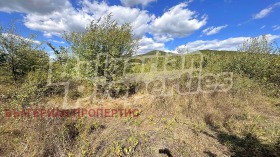   | Imot.bg    5