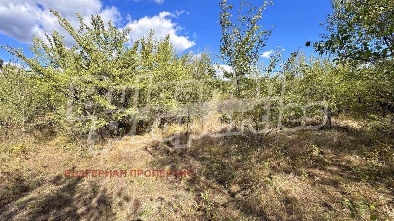 Till salu  Komplott region Stara Zagora , Zmeiovo , 1588 kvm | 45343631 - bild [7]