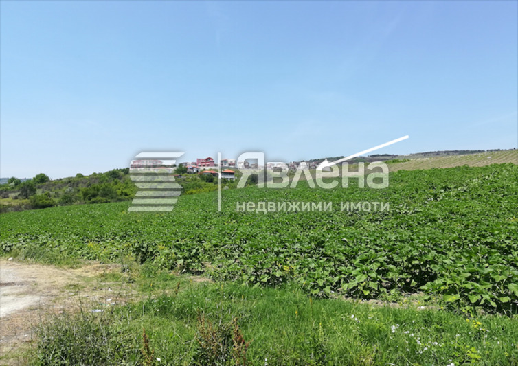 À venda  Trama região Varna , General Kantardjievo , 6000 m² | 97291986 - imagem [2]