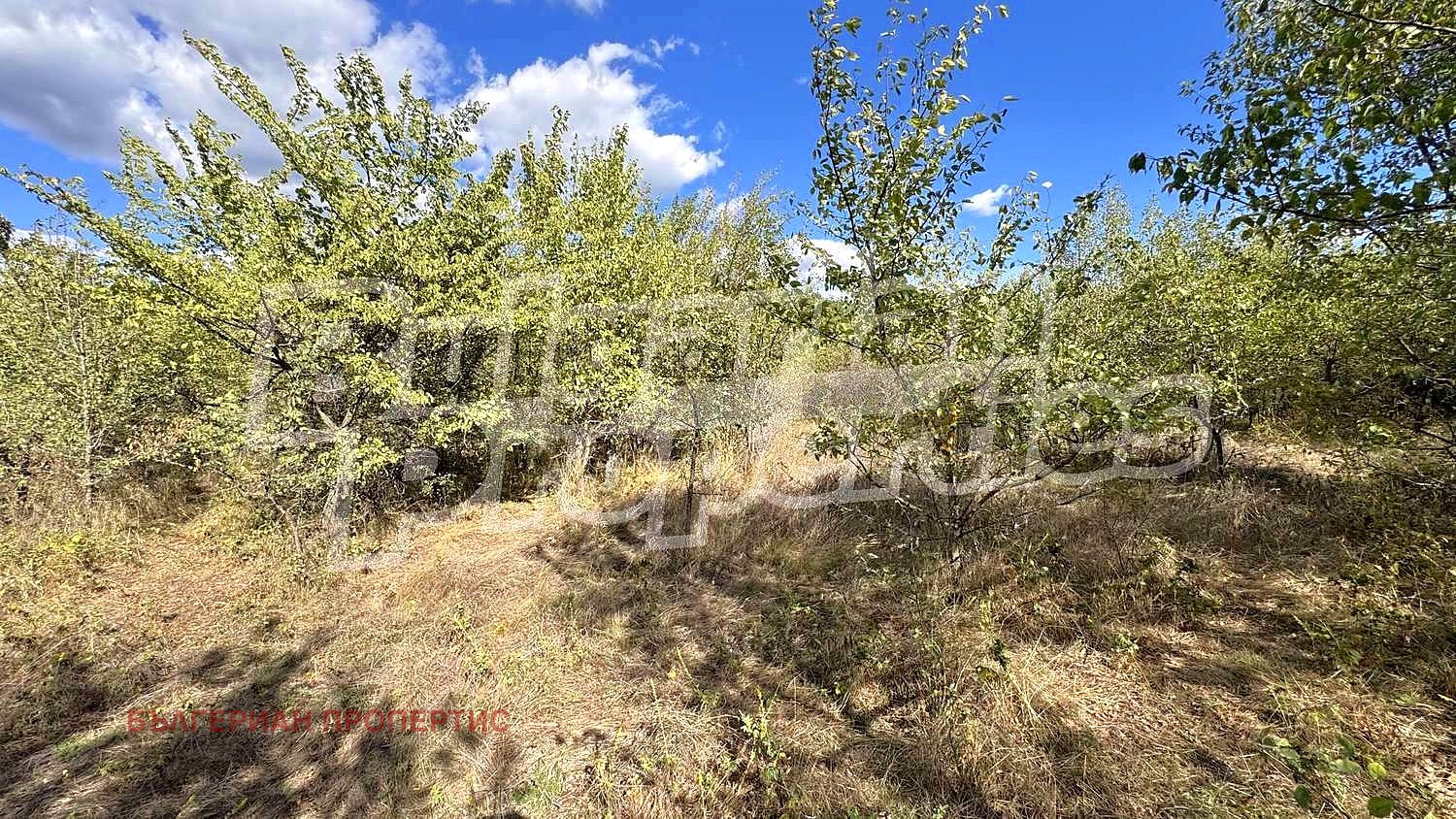 Продава ПАРЦЕЛ, с. Змейово, област Стара Загора, снимка 6 - Парцели - 51890349