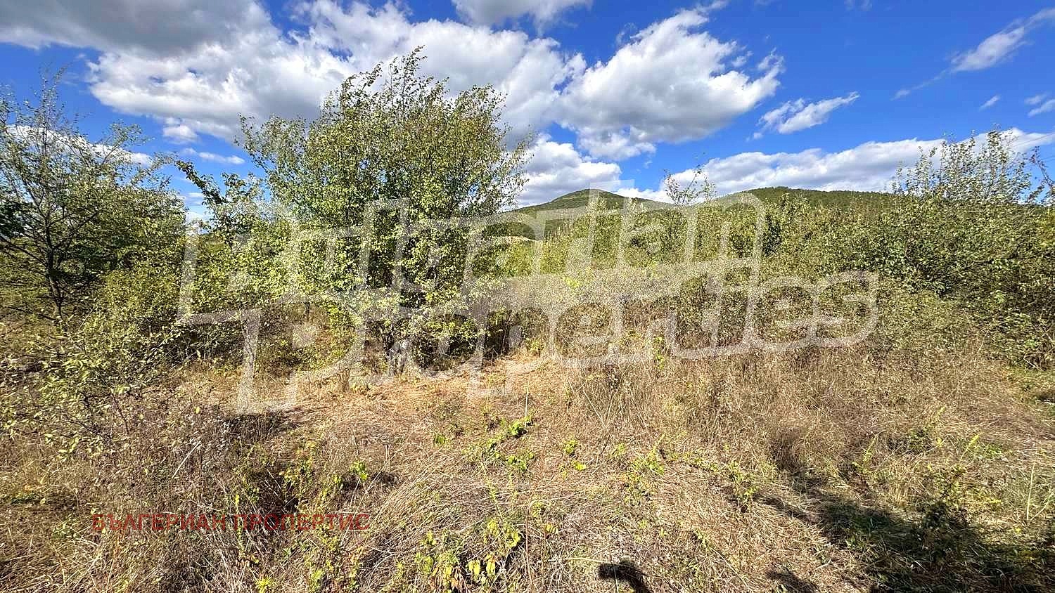 Продава ПАРЦЕЛ, с. Змейово, област Стара Загора, снимка 4 - Парцели - 51890349