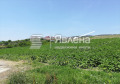Продава ПАРЦЕЛ, област Варна, с. Генерал Кантарджиево • 107000 € / 209273.81 лв. • 25814382 2