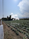 Продава ПАРЦЕЛ, с. Куртово Конаре, област Пловдив, снимка 2