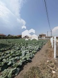 Продава ПАРЦЕЛ, с. Куртово Конаре, област Пловдив, снимка 3