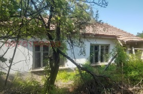 ������ ������� ����