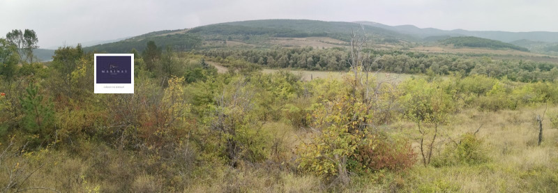 Zu verkaufen  Handlung region Pernik , Kowatschewzi , 1000 qm | 20098213 - Bild [2]