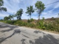Продава ПАРЦЕЛ, област Ловеч, гр. Троян • 43500 € • 25726941 — Holmes.bg