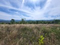 Продава ПАРЦЕЛ, област Ловеч, гр. Троян • 43500 € • 25726941 — Holmes.bg