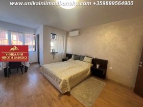 Studie Bansko, region Blagoevgrad 3