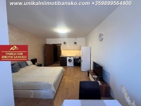 Studie Bansko, region Blagoevgrad 6
