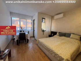Studie Bansko, region Blagoevgrad 4