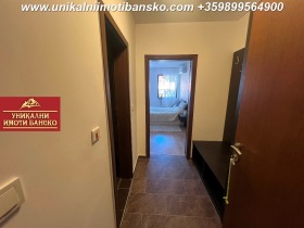 Studie Bansko, region Blagoevgrad 8