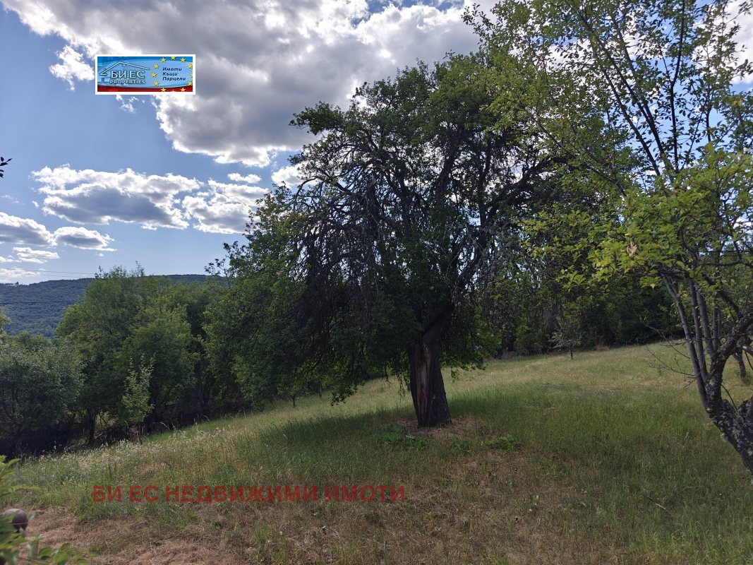 Продава ПАРЦЕЛ, с. Прибой, област Перник, снимка 2 - Парцели - 51107642