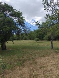 Продава ПАРЦЕЛ, област Перник, с. Прибой • 36000 лв. • 94484569 — Holmes.bg