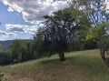 Продава ПАРЦЕЛ, област Перник, с. Прибой • 36000 лв. • 94484569 — Holmes.bg