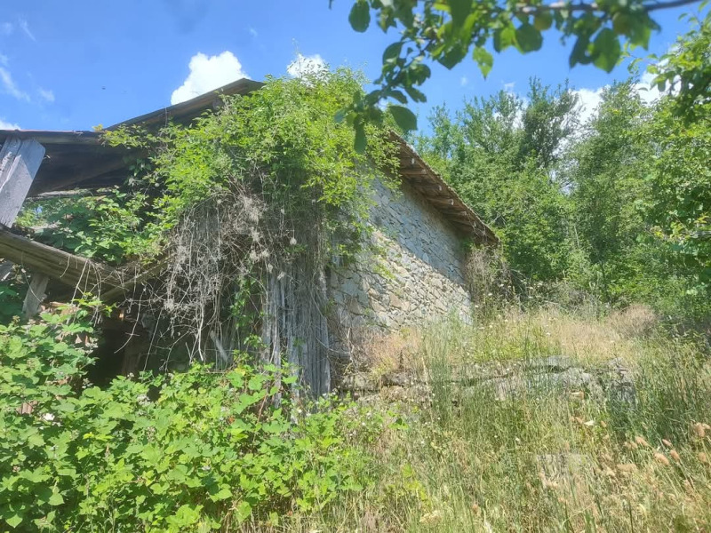 Продава ПАРЦЕЛ в област Благоевград, с. Тешово - 570 кв.м / 14 900 € » 29 141.87 лв., ПИРИН ИМОТИ